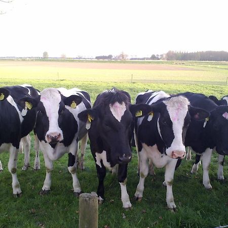 B&B Boerderij Wijtvliet Langeweg Exterior foto